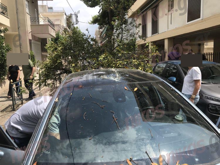 Δέντρο έπεσε στο Χαλάνδρι