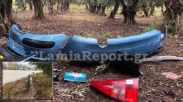 αγριογούρουνα