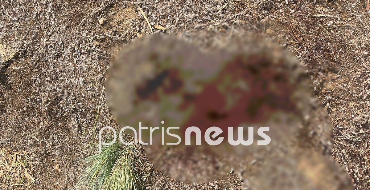 Δολοφονία στην Ηλεία