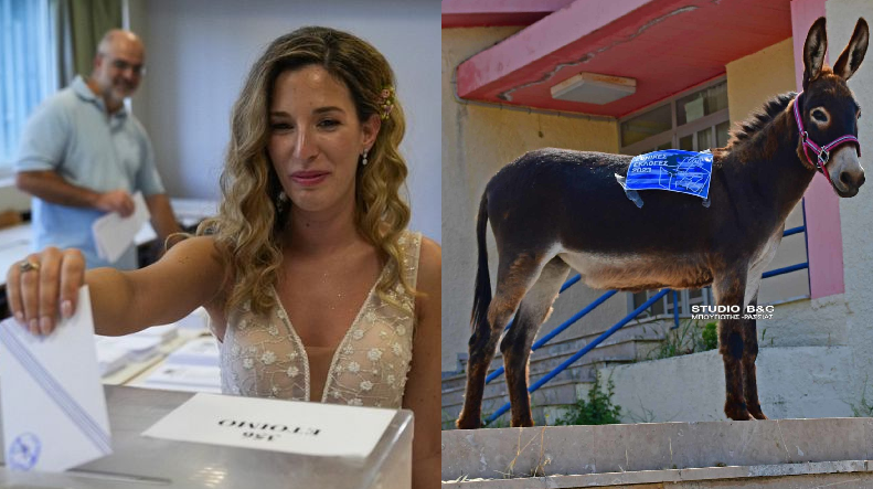 Τα Viral των εκλογών: Το γαϊδουράκι, οι νεόνυμφοι, τα κόλλυβα και το χαμένο ψηφοδέλτιο του ΚΚΕ