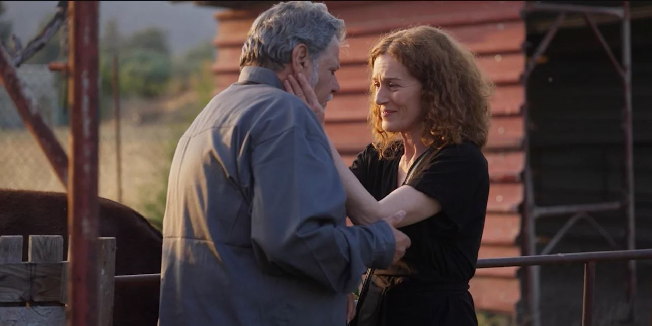 Η Γη της Ελιάς