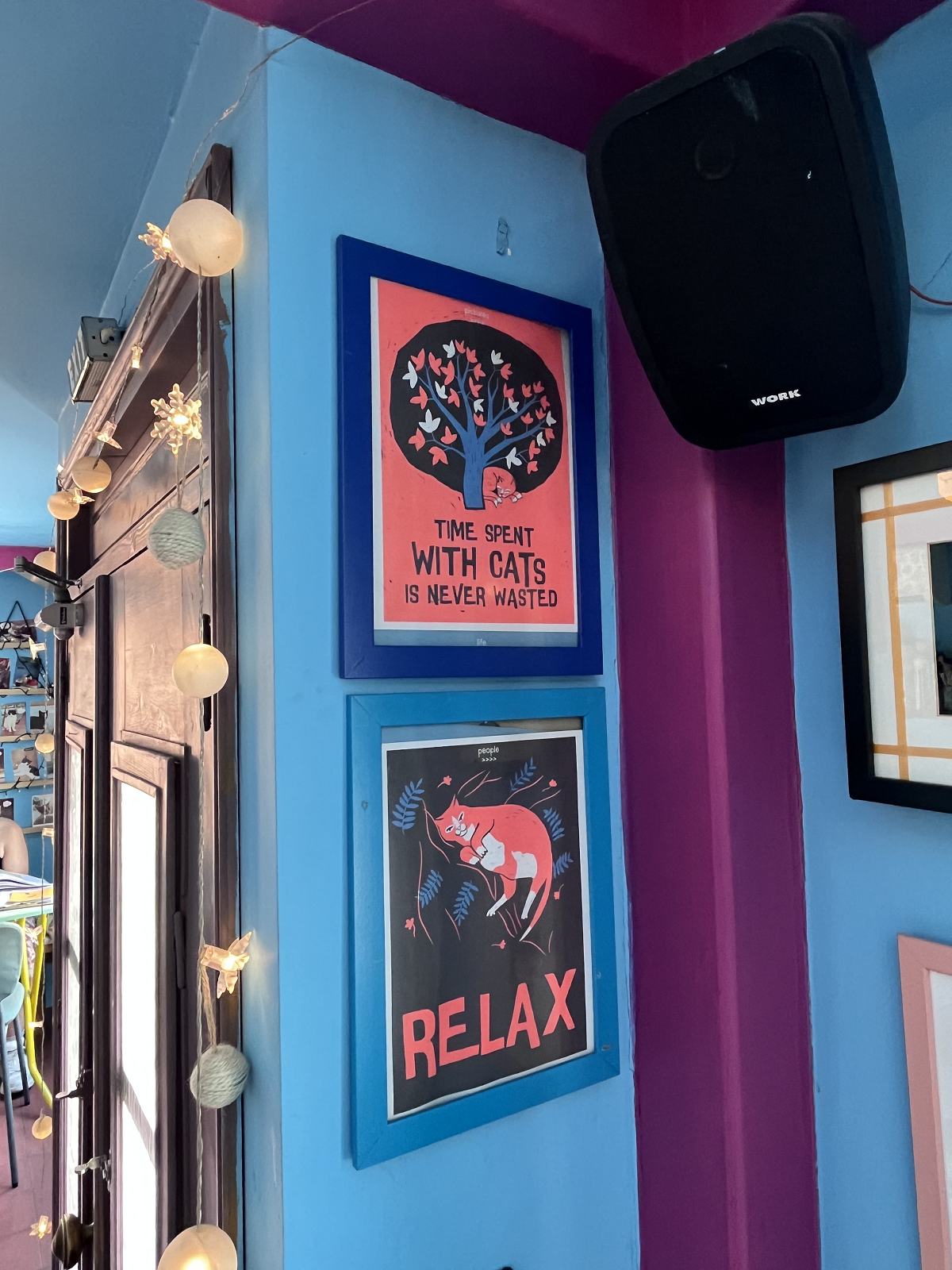 γάτα καφέ Θεσσαλονίκη