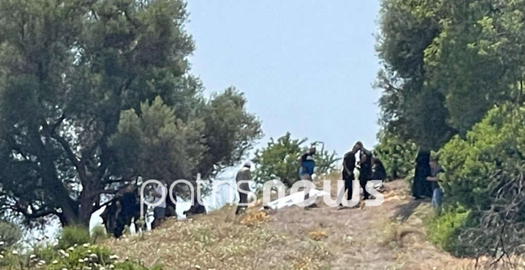 Ηλεία Δολοφονία