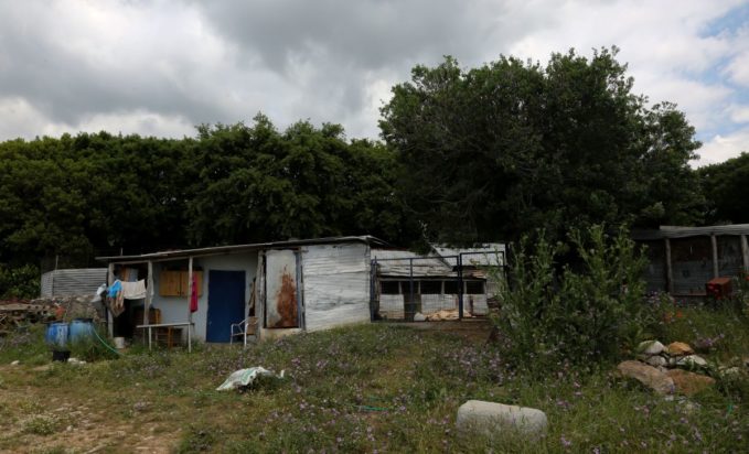 Καβάλα κτηνοτρόφος