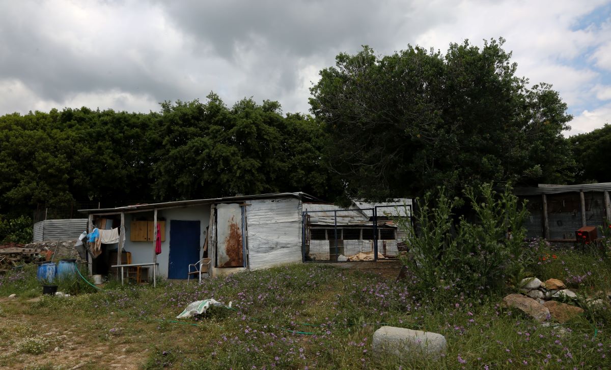 Καβάλα κτηνοτρόφος