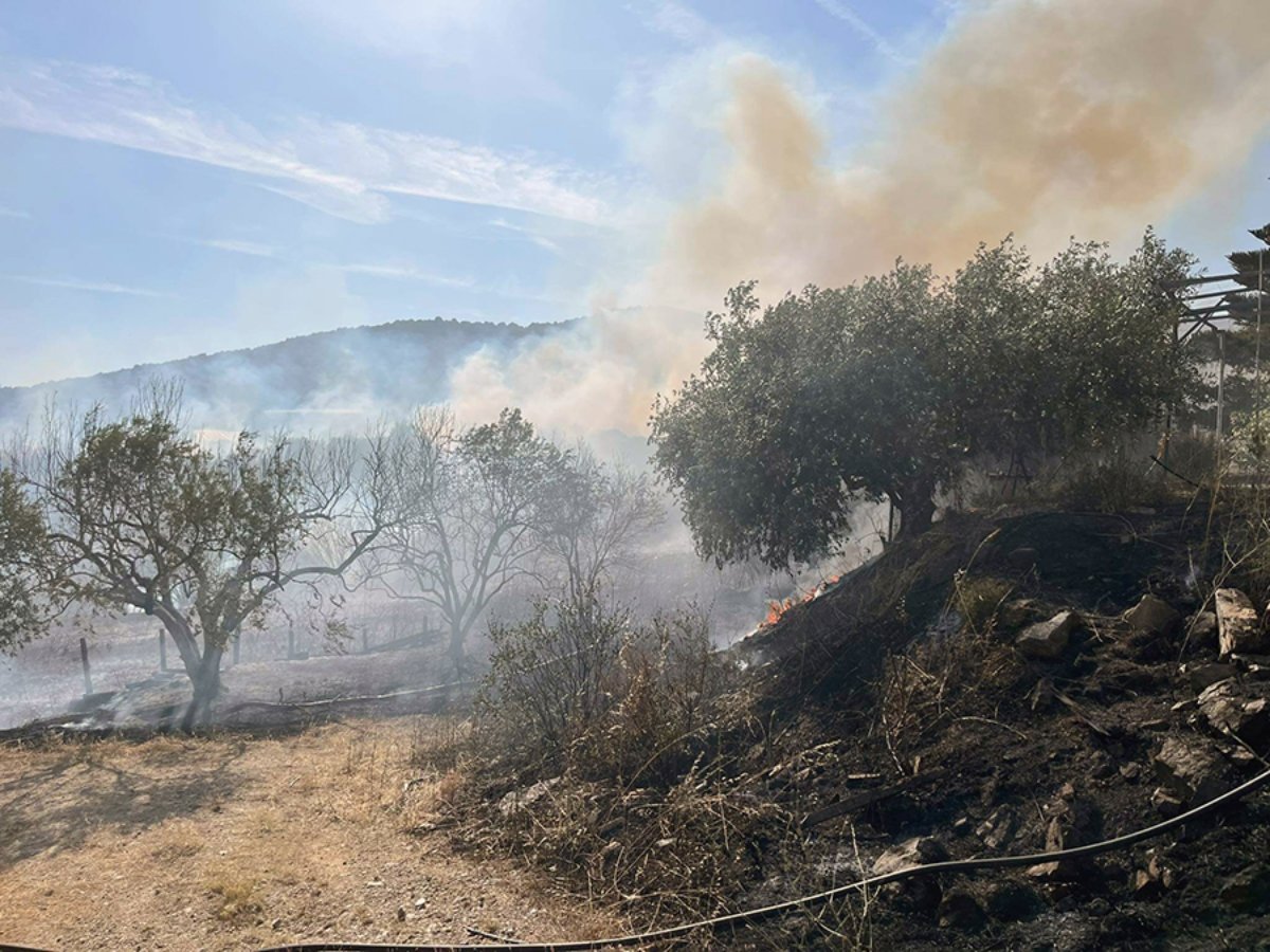 Φωτιά στην Καβάλα: Μεγάλη κινητοποίηση της Πυροσβεστικής – «Σηκώθηκαν» εναέρια μέσα