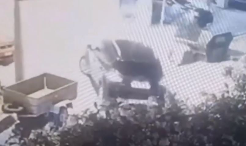 δολοφονία Κορυδαλλός