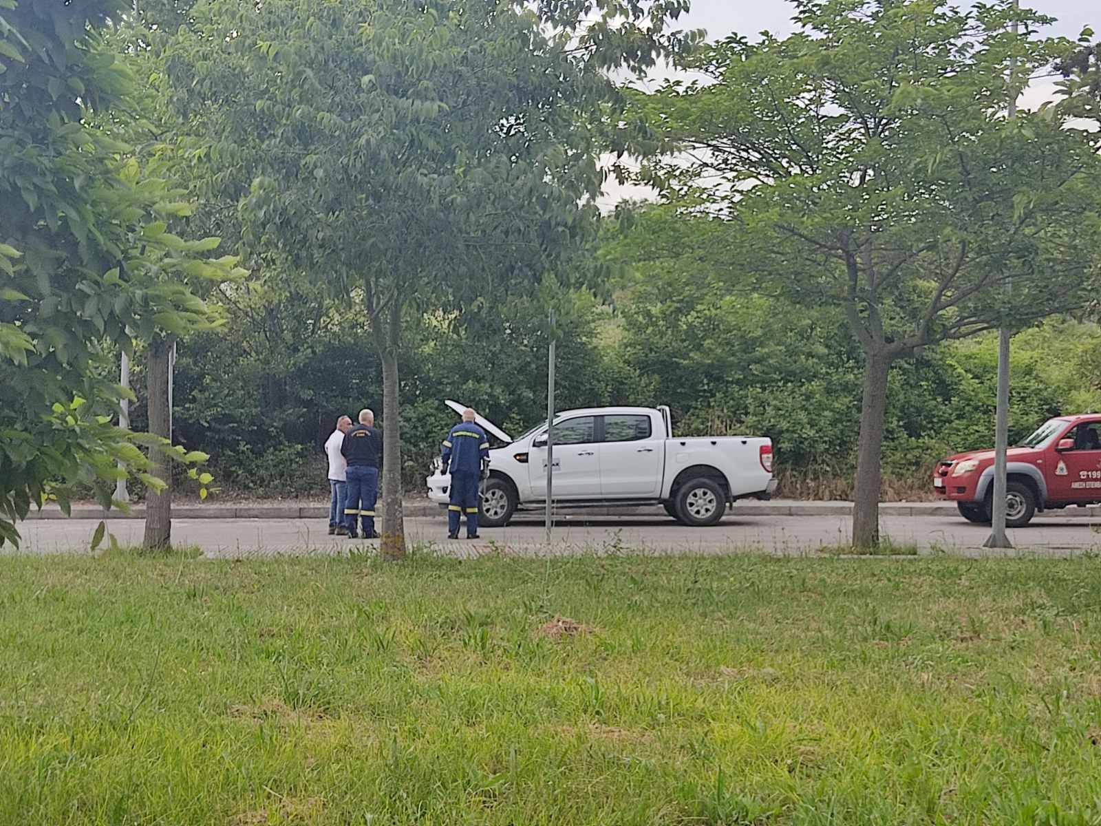 Κοζάνη Φίδι 