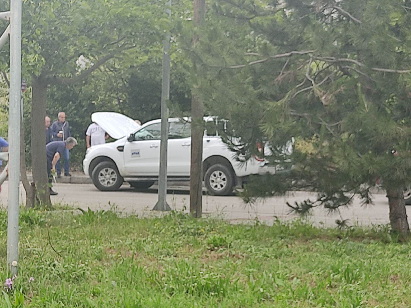 Κοζάνη Φίδι 