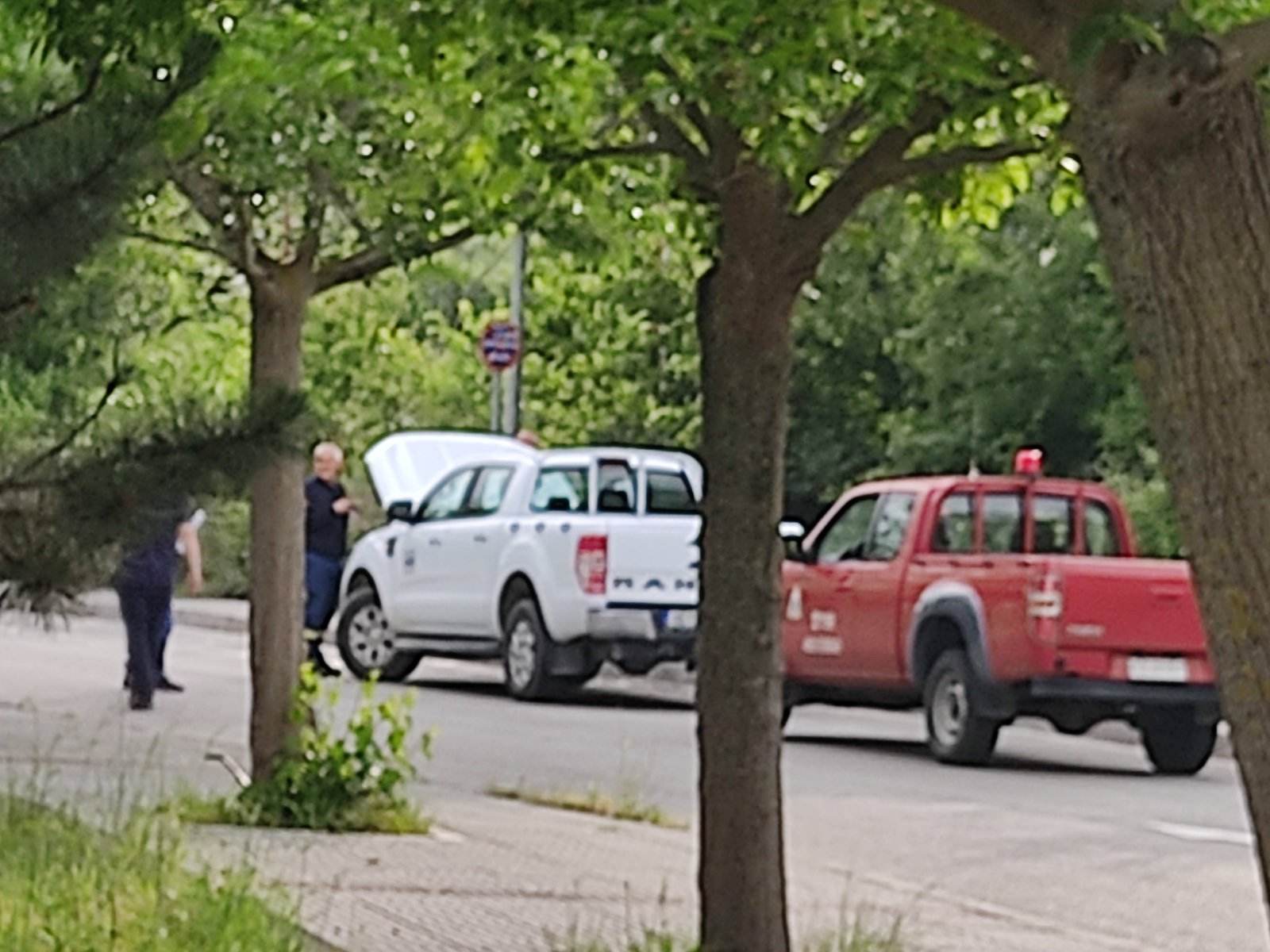 Κοζάνη Φίδι 