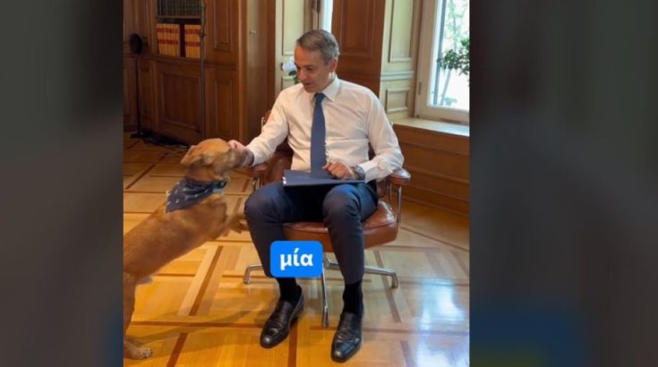 Κυριάκος Μητσοτάκης TikTok