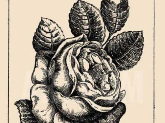 οπτική ψευδαίσθηση