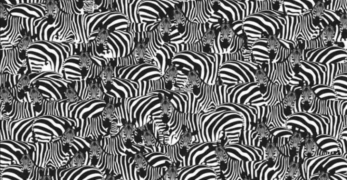 Οπτική ψευδαίσθηση: Μπορείτε μέσα σε 21 δευτερόλεπτα να βρείτε το κρυμμένο πιάνο;