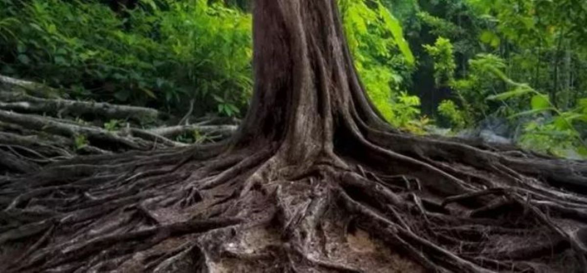 οπτική ψευδαίσθηση