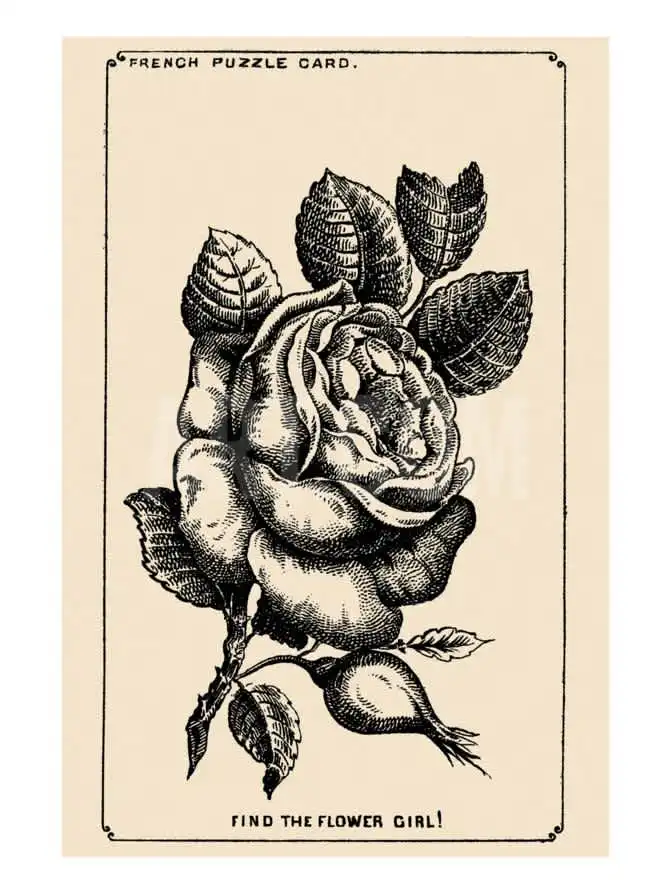 οπτική ψευδαίσθηση