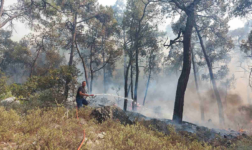 Φωτιά Ρόδος