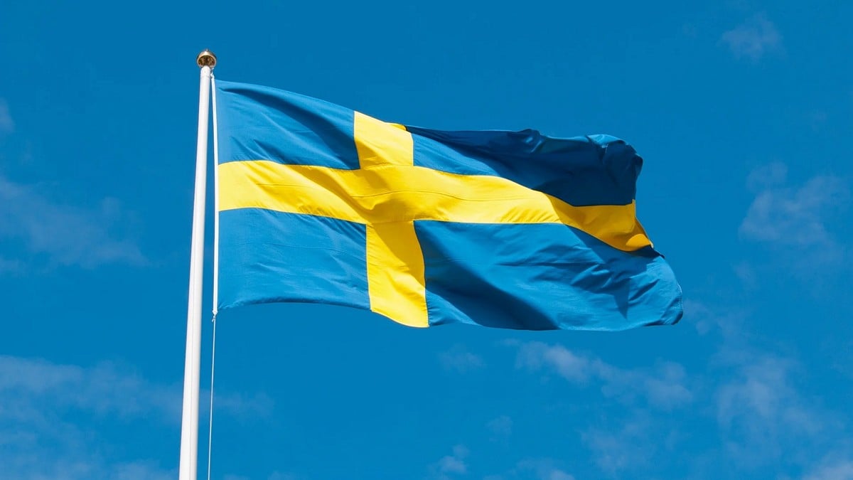 Η Google τιμά με Doodle την Εθνική Ημέρα της Σουηδίας