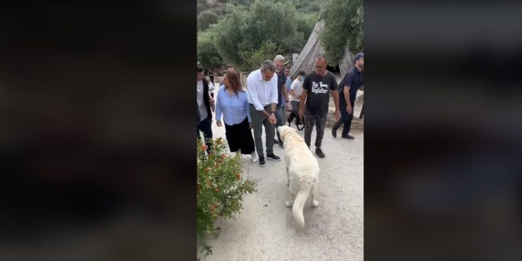 tiktok Μητσοτάκης