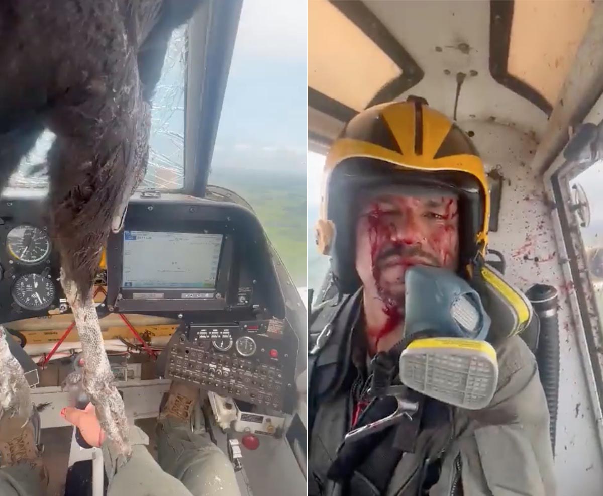 Εκουαδόρ: Τεράστιο πουλί χτύπησε στρατιωτικό αεροπλάνο – Δείτε ΒΙΝΤΕΟ