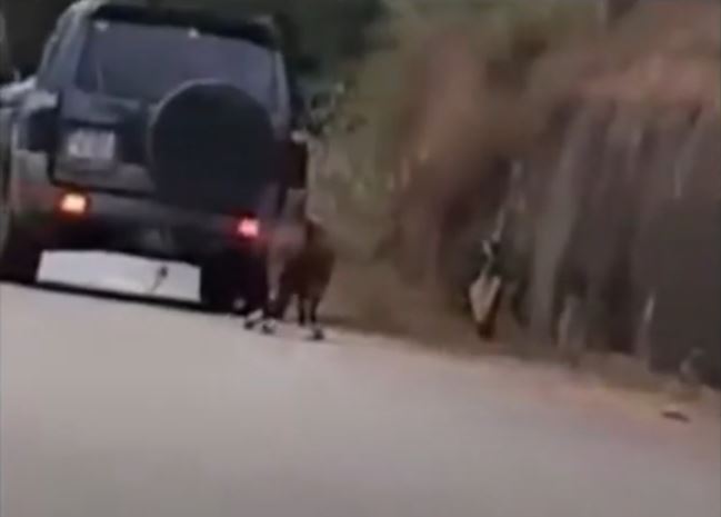 Ζάκυνθος: Νέο περιστατικό κακοποίησης ζώου – Έσερνε κατσίκα με το αυτοκίνητό του
