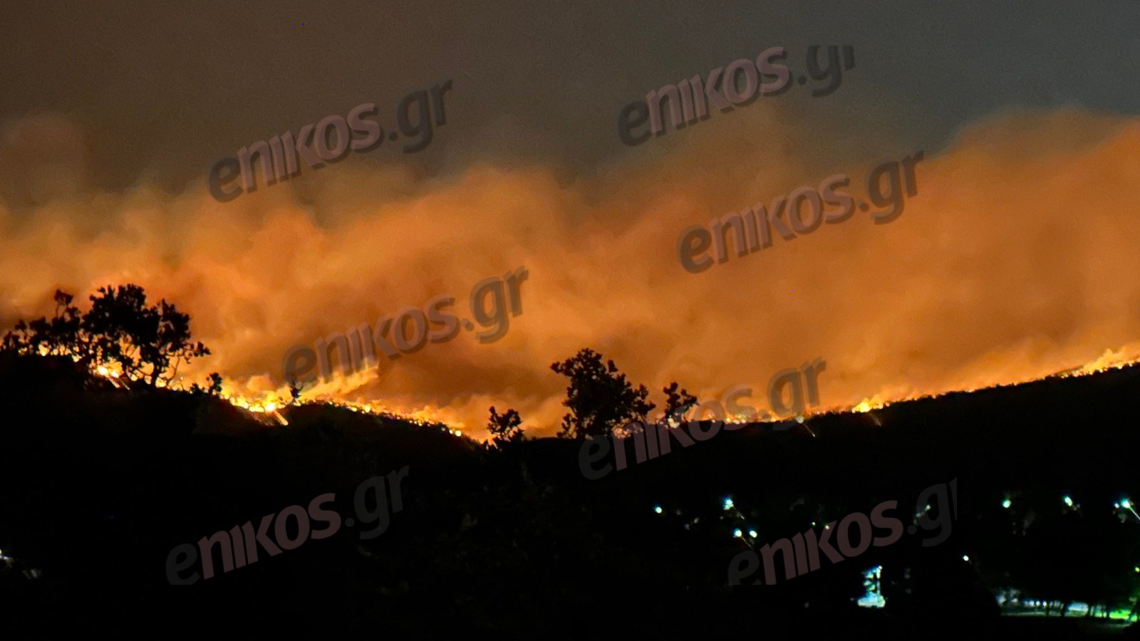 Δερβενοχώρια: Η φωτιά από την πλευρά της Οινόης – ΦΩΤΟ & ΒΙΝΤΕΟ αναγνώστη
