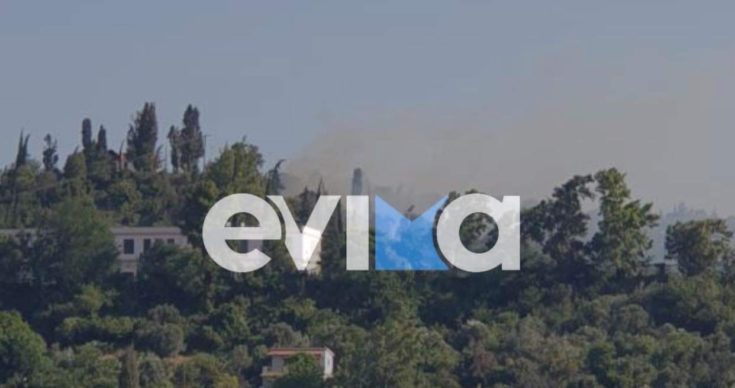 φωτιά Κύμη Εύβοια