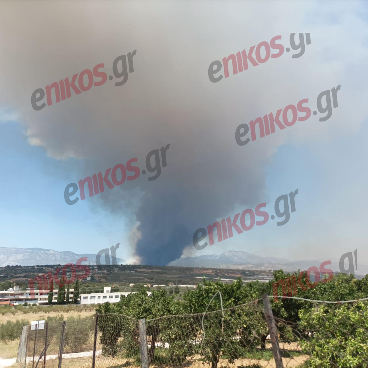 Φωτιά στο Λουτράκι: Μήνυμα από το 112 για εκκένωση σε τρεις οικισμούς – ΦΩΤΟ