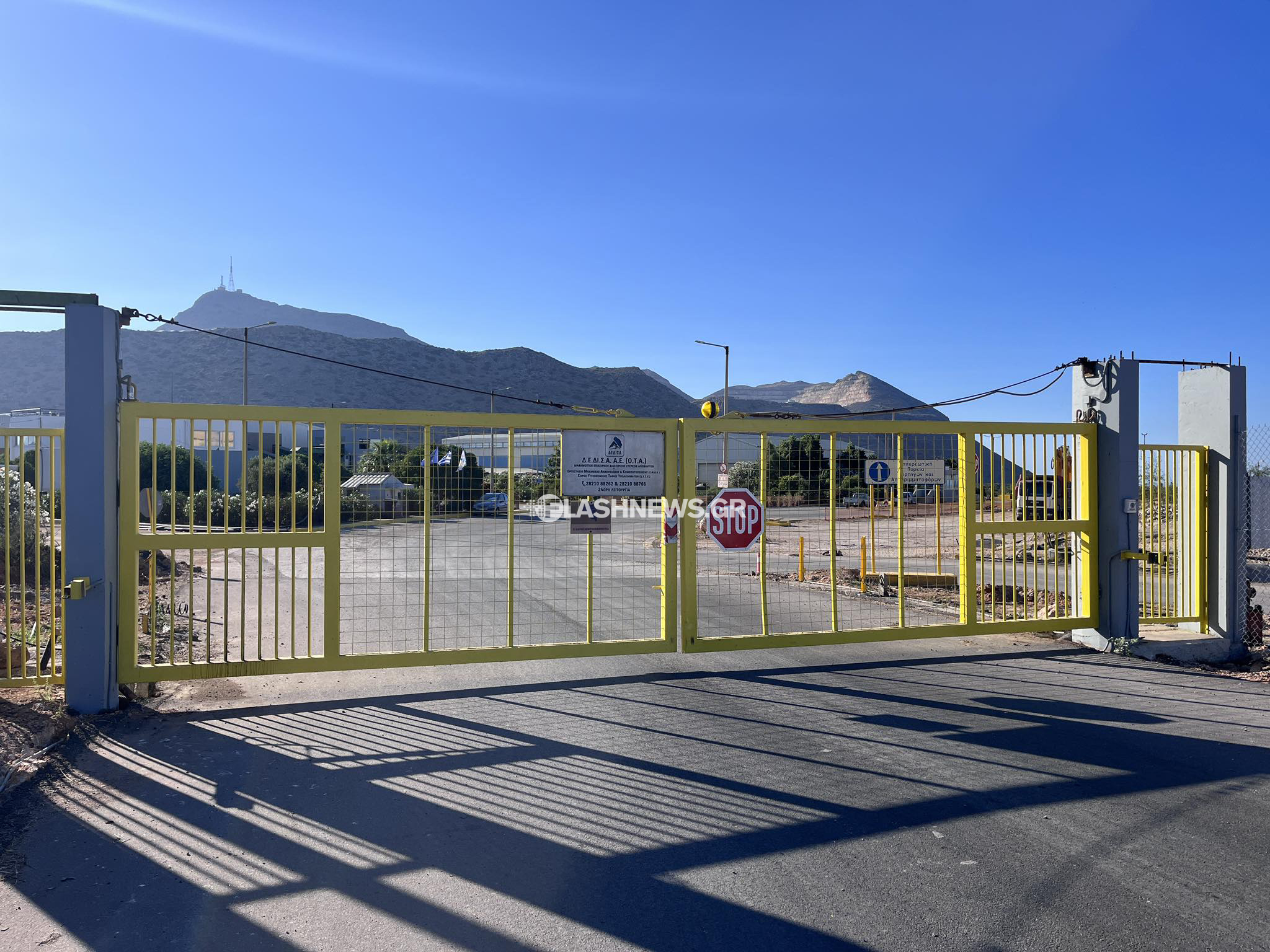 Κρανίο στα Χανιά