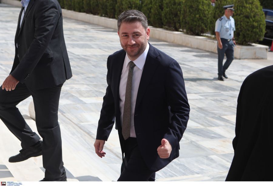 Η άφιξη του προέδρου του ΠΑΣΟΚ - ΚΙΝΑΛ Νίκου Ανδρουλάκη στη Βουλή