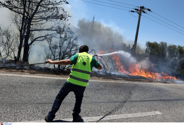 φωτιά Νέος Κουβαράς