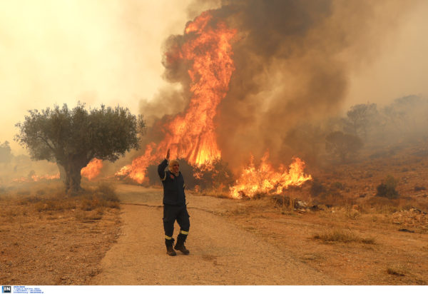 Φωτιά στην Μάνδρα