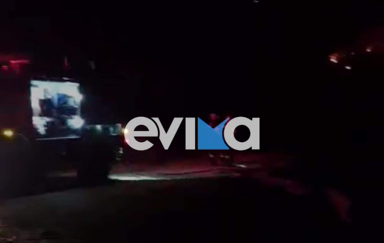 Κάρυστος: Υπό έλεγχο η φωτιά στην Αντιά