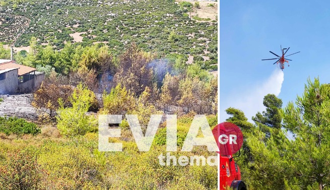 Φωτιά στην Εύβοια: Καλύτερη η εικόνα, δεν απειλείται το μοναστήρι