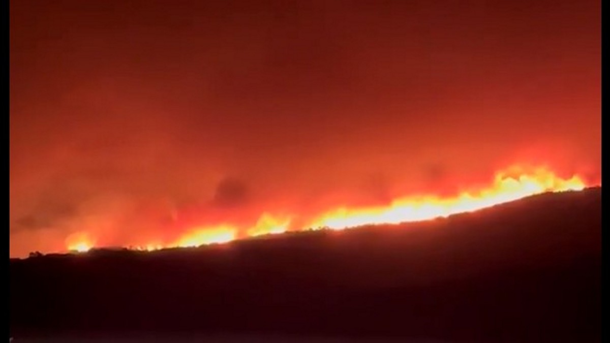 ΕΛ.ΑΣ: Διέκοψε την κυκλοφορία των οχημάτων σε δρόμους της Αττικής και της Βοιωτίας λόγω των πυρκαγιών