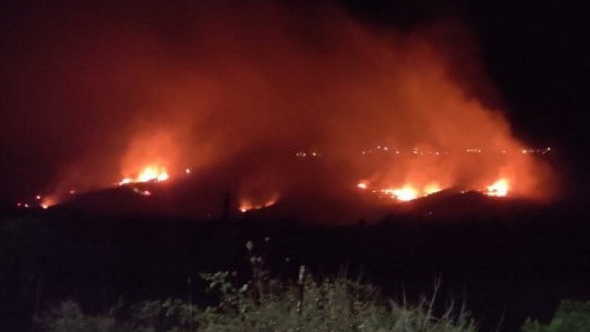 Κεφαλονιά: Φωτιά στα Σπαρτιά – Άμεση η κινητοποίηση της Πυροσβεστικής