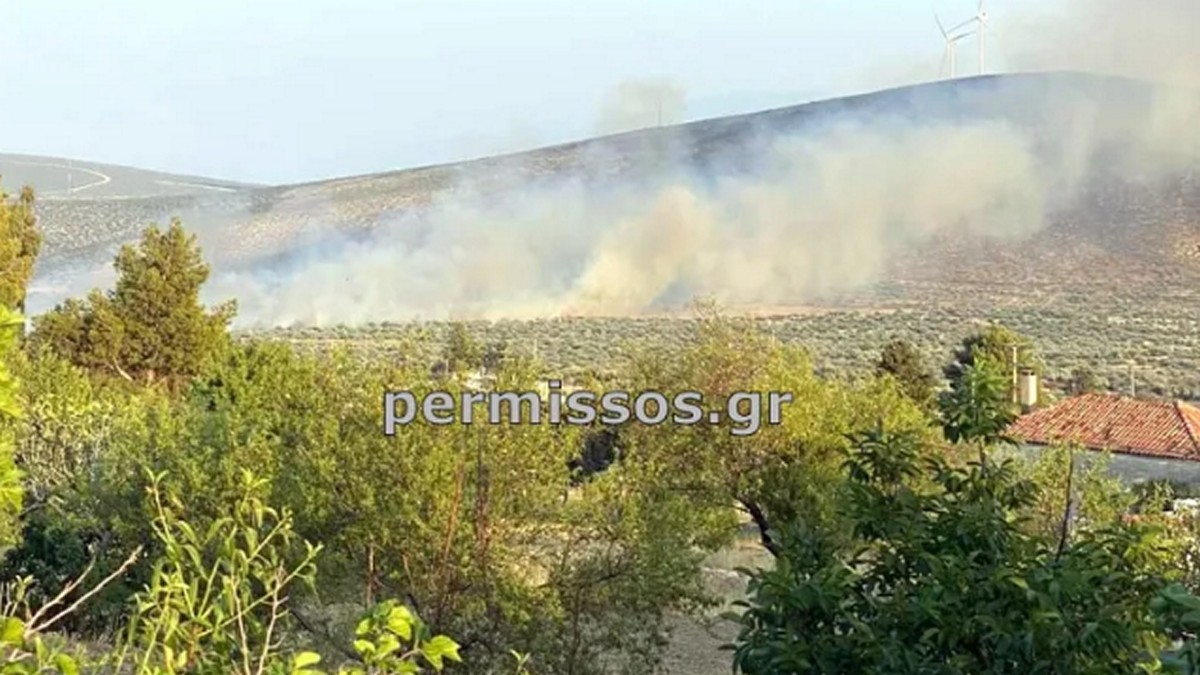 Φωτιά στον Πρόδρομο Βοιωτίας: Παραμένει σε εξέλιξη – Αποχώρησαν δυνάμεις από το σημείο
