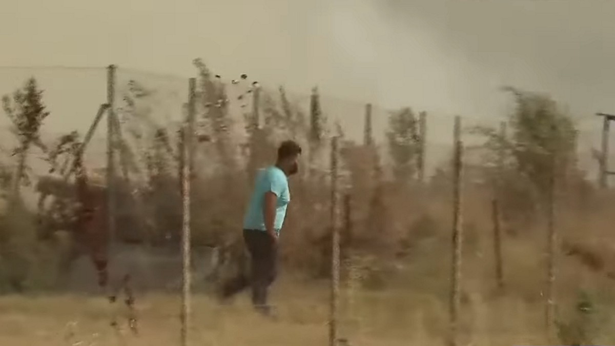 Φωτιά στο Βελεστίνο: Οι τελευταίες στιγμές του κτηνοτρόφου – Προσπαθούσε να σώσει τα πρόβατά του – ΒΙΝΤΕΟ