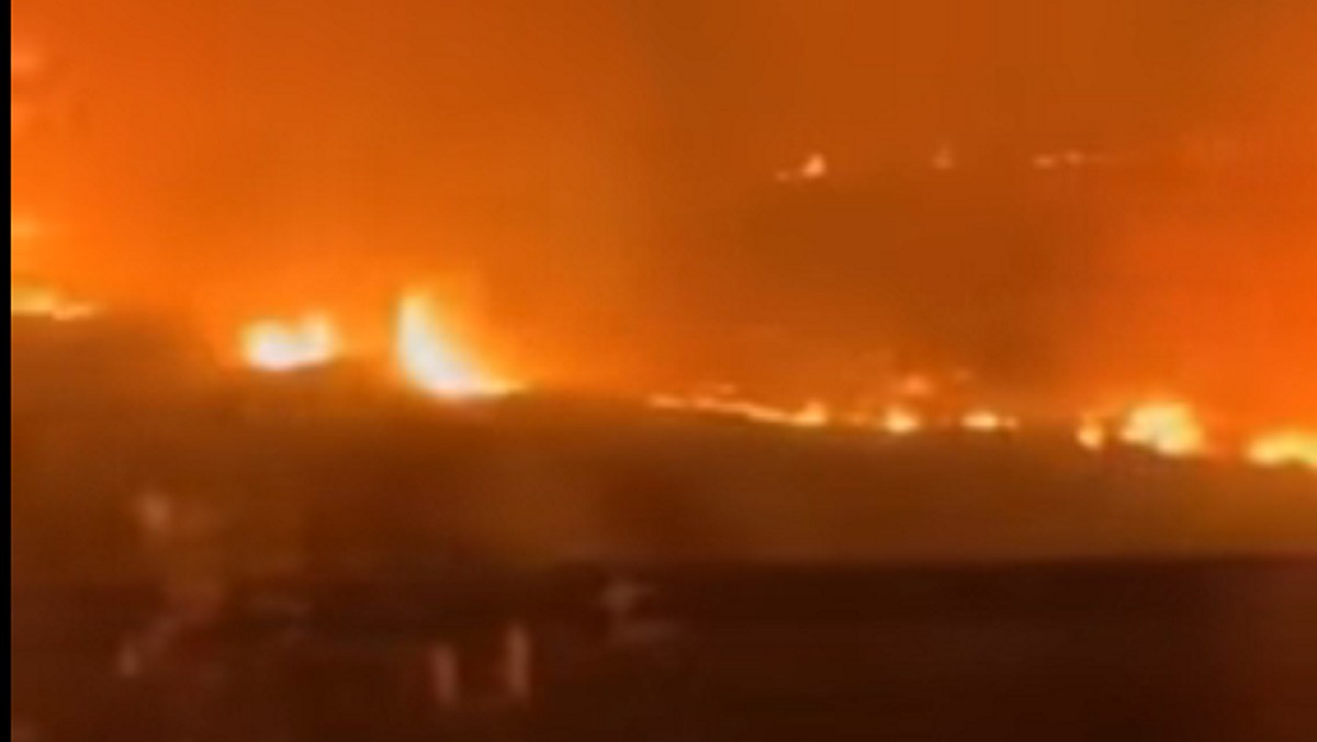 Φωτιά στην Μαγνησία: Συγκλονιστικό βίντεο από το Βελεστίνο – «Ίσα που πρόλαβα να περάσω»