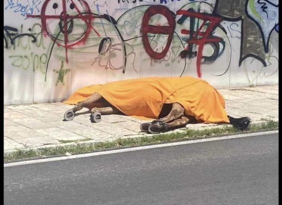 Άλογο στην Κέρκυρα