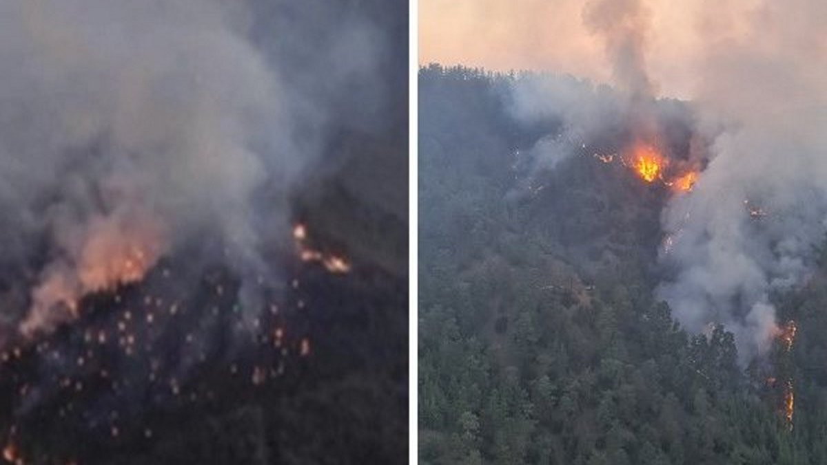 Πάφος: Εκτός ελέγχου η φωτιά που ξέσπασε στο Κρατικός Δάσος – «Βελτιωμένη και διαχειρίσιμη η κατάσταση»