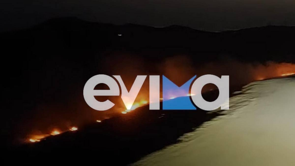 Φωτιά στην Κάρυστο: Νέο μήνυμα 112 στους κατοίκους του Πλατανιστού για εκκένωση