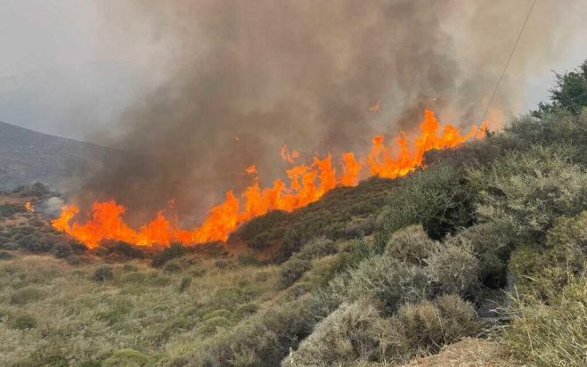 Κάρυστος- φωτιά