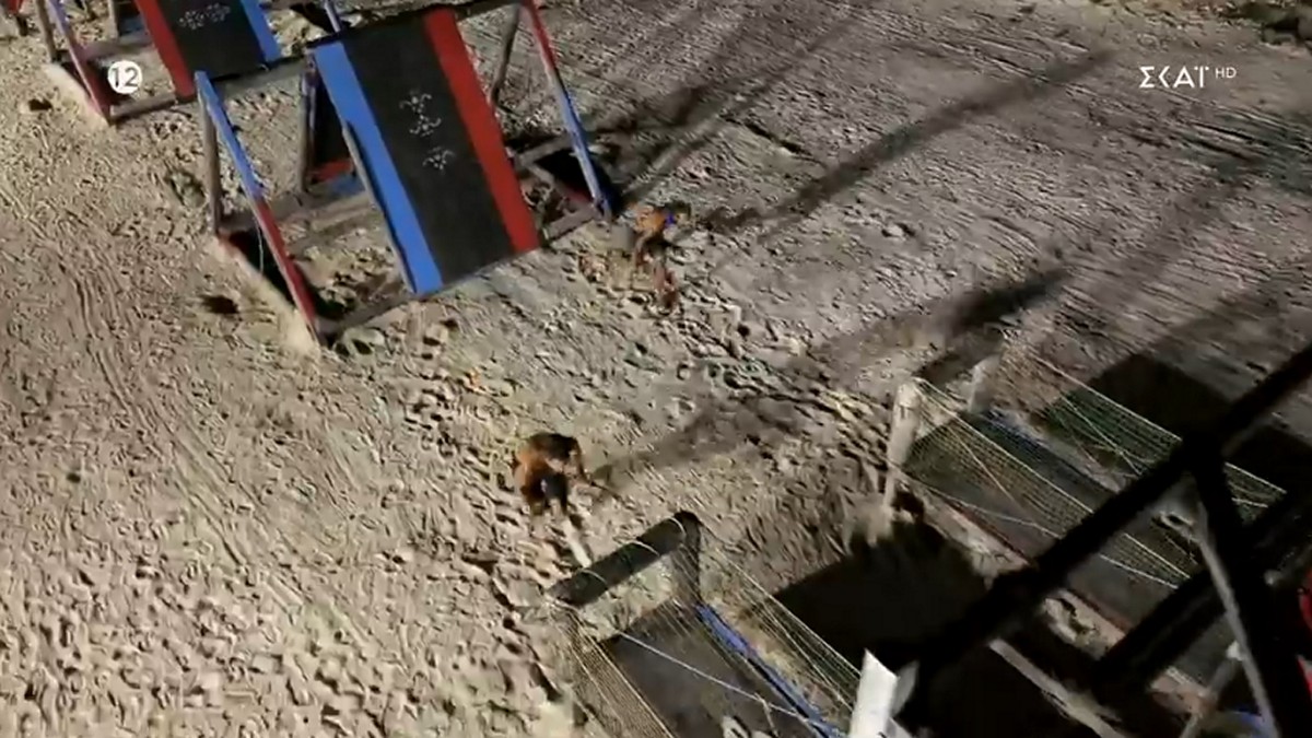 Survivor All Star: Πέρασε στον ημιτελικό – «Συγκινήθηκα έπειτα από έξι μήνες, αλλά δεν άντεχα άλλο»