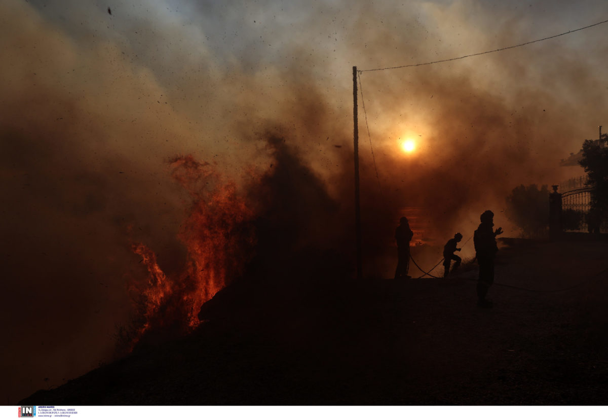 Φωτιά στον Κουβαρά: «Θέλω να πεθάνω» – Συγκλονίζει η υπεύθυνη του καταφυγίου ζώων που κάηκε