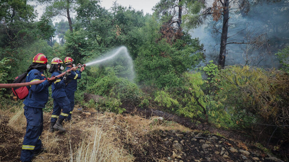 Πέλλα: Υπό μερικό έλεγχο τέθηκε η φωτιά στον Προφήτη Ηλία