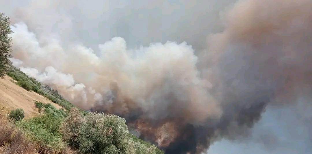 Φωτιά στην Ρόδο