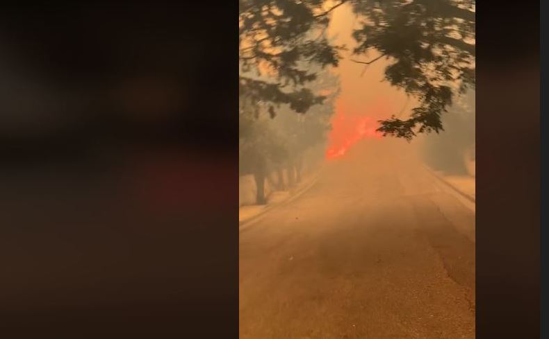 Φωτιά στην Σαρωνίδα