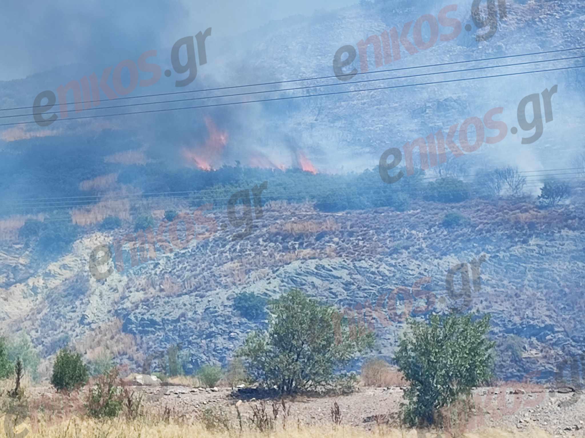 Φωτιά στον Βόλο