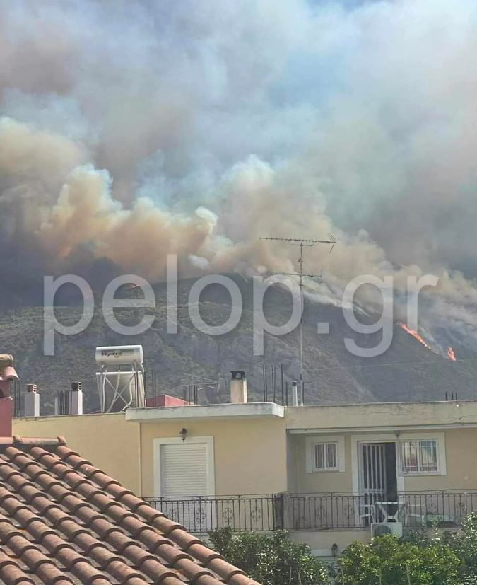 Φωτιά στο Αίγιο