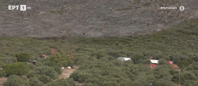 Αλιβέρι φωτιά